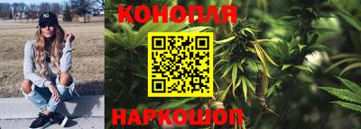 сатива Обнинск