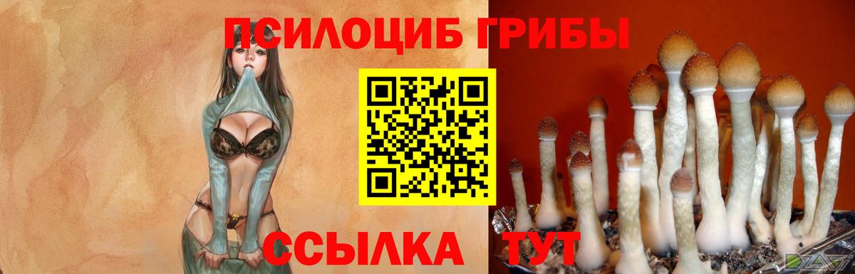 цены   Псилоцибиновые грибы Cubensis  Вход с VPN  Сланцы  Псилоцибиновые грибы Magic Shrooms 